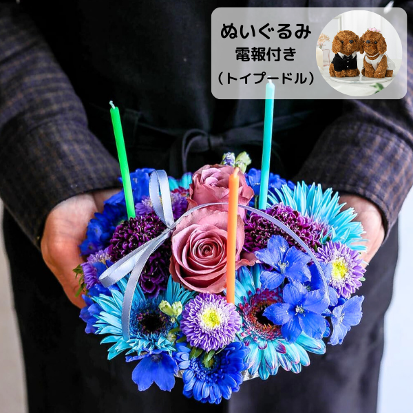 ̤(ȥסɥ)ȥե ե(M/֥롼ѡץ)ɥ롦BOXդ