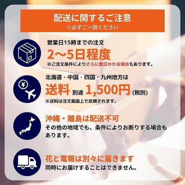 ̤(ƥǥ٥)ȥե ե(M/ԥ󥯷)ɥ롦BOXդ 19