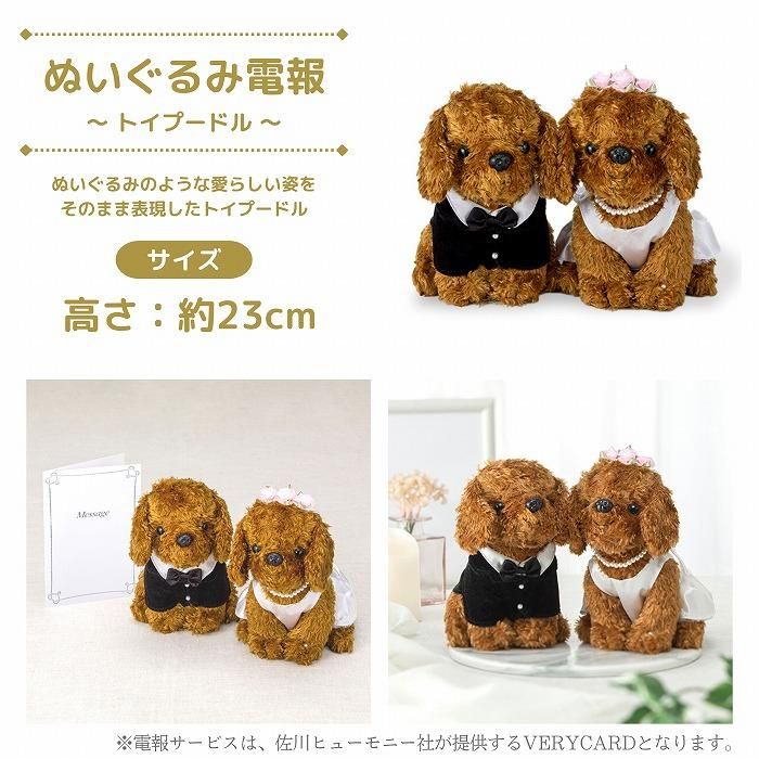 ̤(ȥסɥ)ȥե ե(M/ԥ󥯷)ɥ롦BOXդ 10