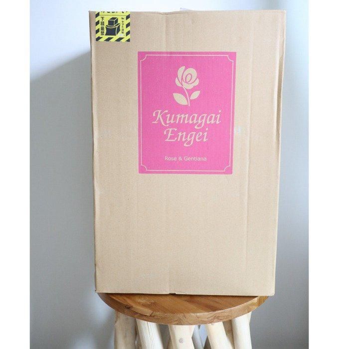 ֥Х99ܡñʱΰơåץݡ䵭ǰ 5