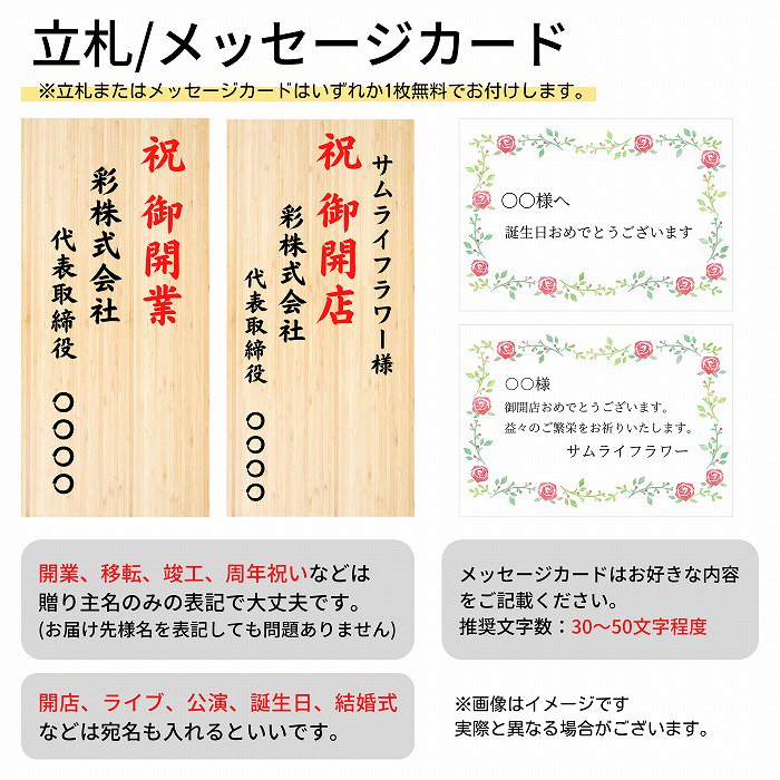 北海道配送可】胡蝶蘭5本立て60輪以上（白）※選べるラッピング