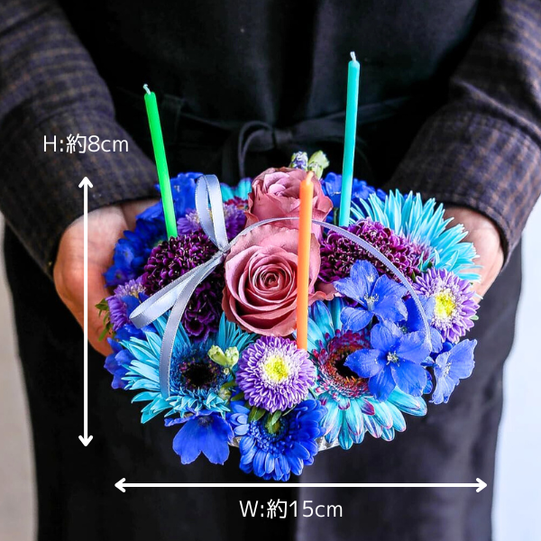 ե M/֥롼ѡץϡˢɥ롦BOXդ 2