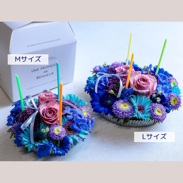 ե M/ַϡˢɥ롦BOXդ 7