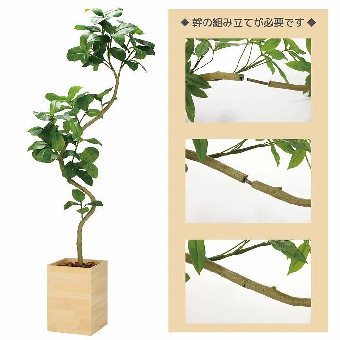 造花(光触媒)】観葉植物 アルテシマ ウッドボックス 210cm（組立