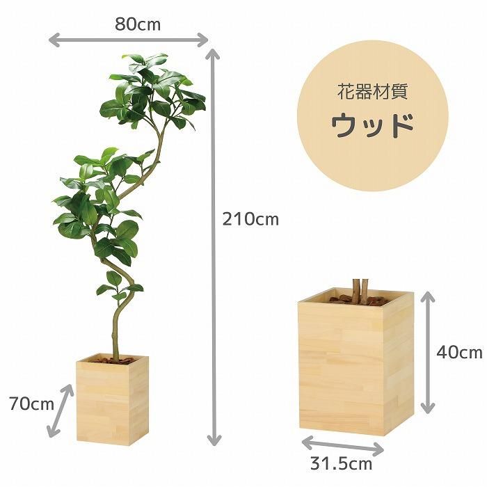光触媒　人工観葉植物　フェイクグリーン　ウッドボックスアルテシマ2.1(組立式) 光触媒 光の楽園 ウッドボックスアルテシマ2.1m(組立式