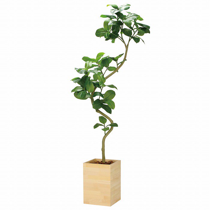 【造花(光触媒)】観葉植物 アルテシマ 210cm(ウッドボックス)※組立式