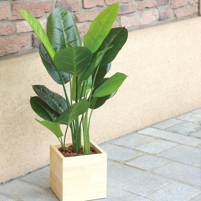 造花(光触媒)】観葉植物 アルテシマ ウッドボックス 210cm（組立