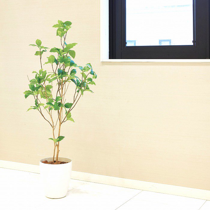 【造花(光触媒)】観葉植物 サラサドウダン 120cm