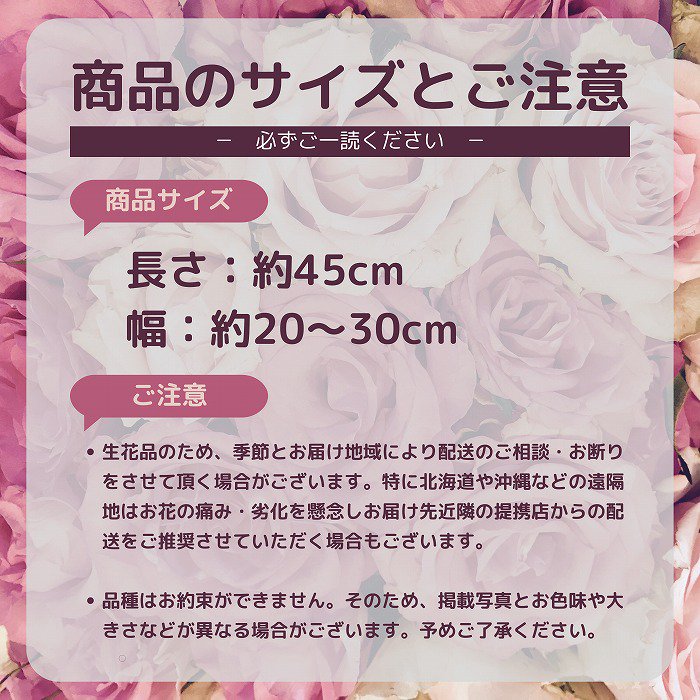 【まとめ買い割引対象】赤バラ花束15本