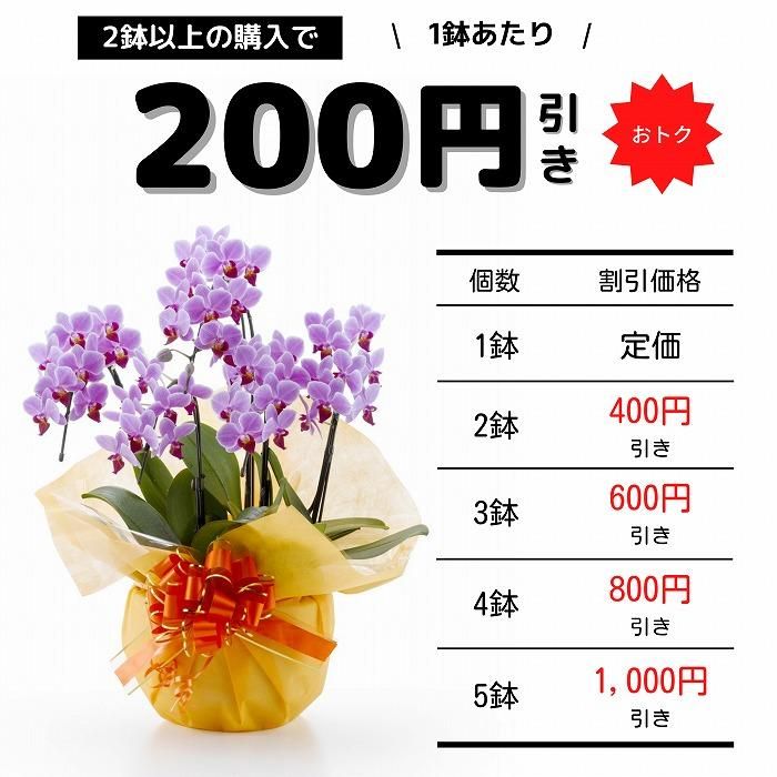 らんみ⭐︎まとめ買いお安くします らんみ⭐︎まとめ買いお安くします らんみ⭐︎まとめ買いお安く