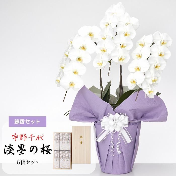 お花と線香】線香(宇野千代 淡墨の桜ミニ1箱)とお供え用胡蝶蘭3