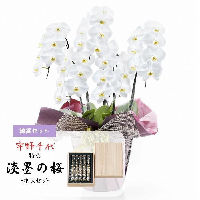 桜の花柄トレイ 宇野千代ブランド 桜の花柄トレイ 宇野千代ブランド