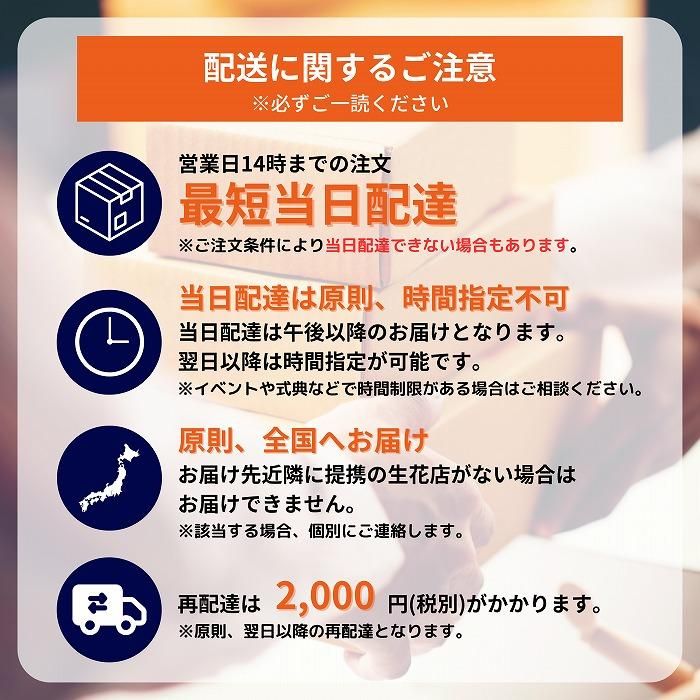 ٤롪ޥɲ 1 L 1ãġ 11