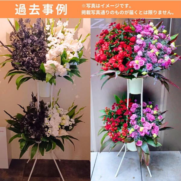 ٤롪ޥɲ 2 L ϡաϡեãġ 11