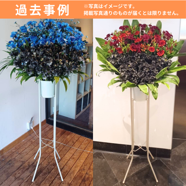 ٤롪ޥɲ 1 L ġȥ󥳡ãġ 6