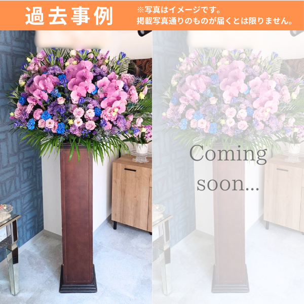 ٤롪ޥ åɥɲ L 2ãġϰ 6