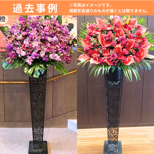 ٤롪ޥɲ ֥ꥭ 1(ͭ)ġϰ 6