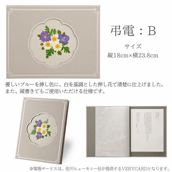 Ĥ()ȥ饹ե (ɥ饤ե)ꥢڲ٤ޤ 7