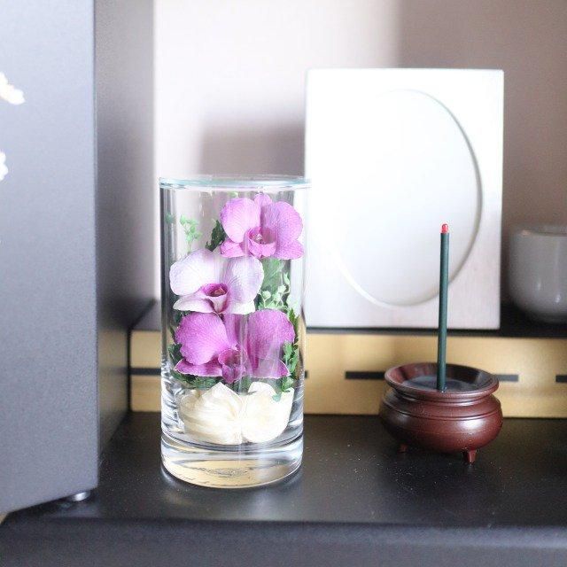 Ĥ(ᡦå)ȥ饹ե (ɥ饤ե)ꥢ 3