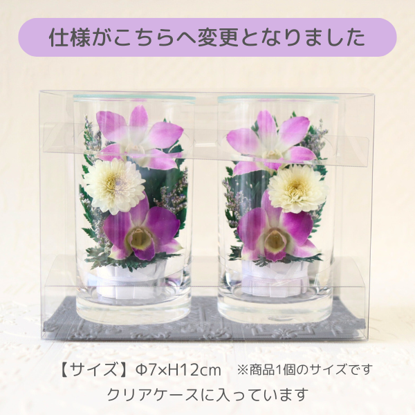 Ĥ(ߥ)ȥ饹ե (ɥ饤ե)2ĥåȢꥢڲ٤ޤ 2