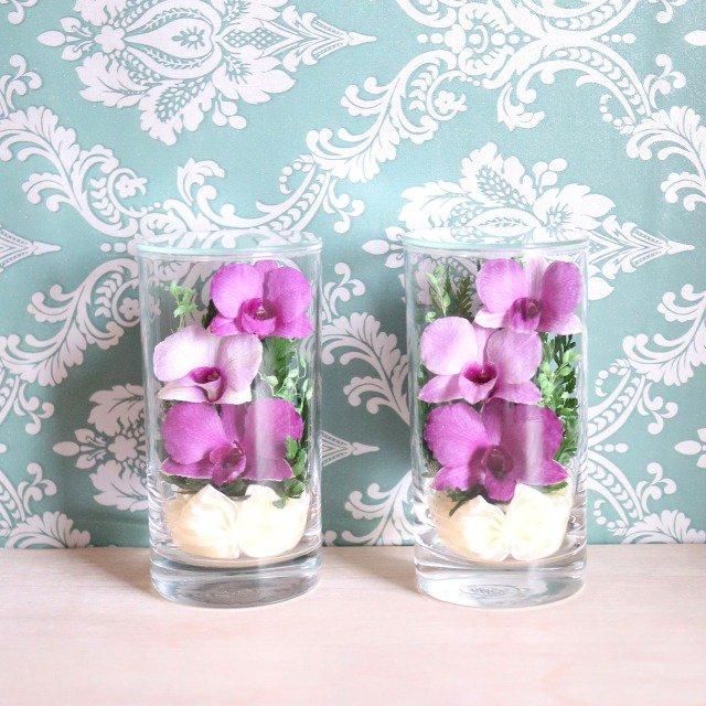 Ĥ()ȥ饹ե (ɥ饤ե)2ĥåȢꥢڲ٤ޤ 3