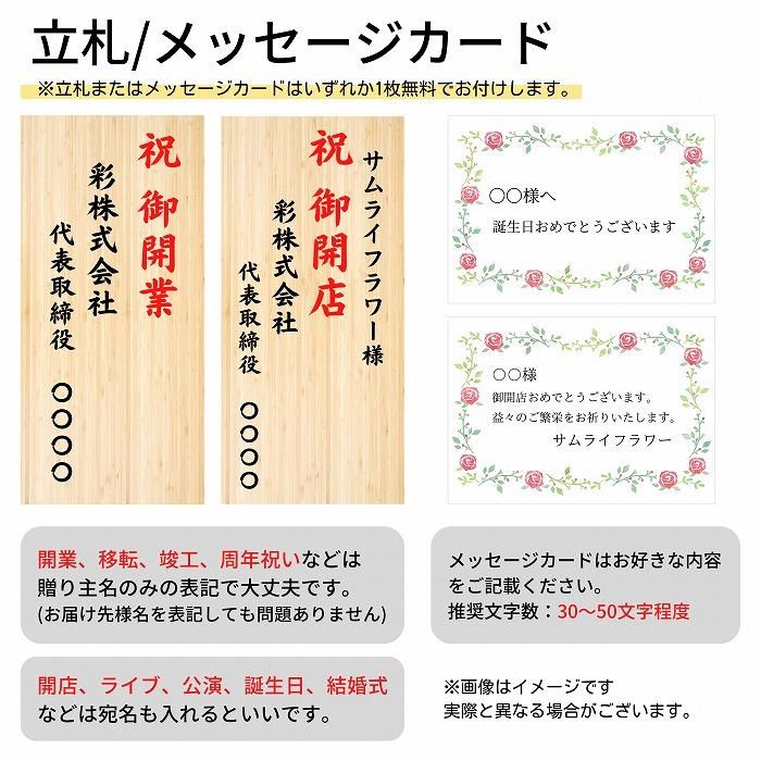当日配達・手持ち便 観葉植物 ポトス10号 ライトブラウン鉢カバー(軽い