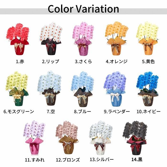 14色から選べる 色付き胡蝶蘭 10本立90輪程度‐サムライフラワー