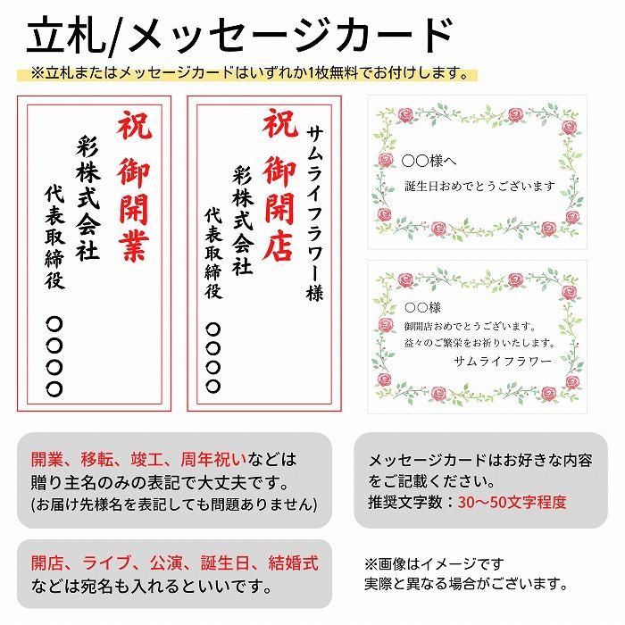 տʪȸĳå 󤻿(å)8(ƫȭդ)ߥߥ˸ĳ(ɥåȭ) 3