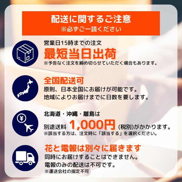 Ĥ(᥻å)ȥץꥶ֥ɥե ꥢɡ(֥롼)ꥢ 12