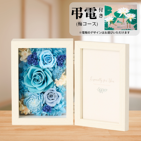 Ĥ(ߥ)ȥץꥶ֥ɥե ֤ȼ̿Ω(쥯󥰥롦)ڲ٤ޤ