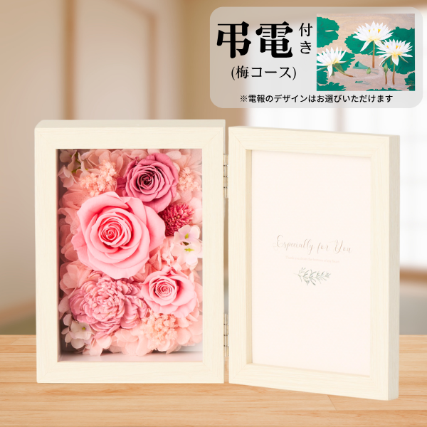 Ĥ(ߥ)ȥץꥶ֥ɥե ֤ȼ̿Ω(쥯󥰥롦ԥ)ڲ٤ޤ