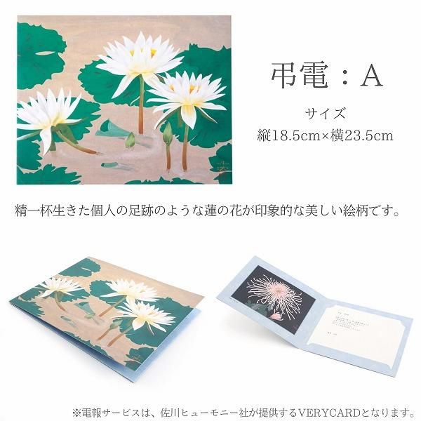 Ĥ(ߥ)ȥץꥶ֥ɥե ֤ȼ̿Ω(쥯󥰥롦ԥ)ڲ٤ޤ 4