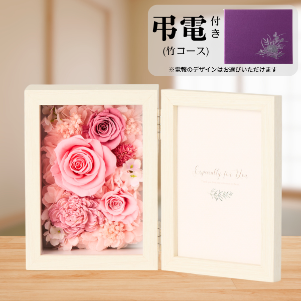 Ĥ(ݥ)ȥץꥶ֥ɥե ֤ȼ̿Ω(쥯󥰥롦ԥ)ڲ٤ޤ