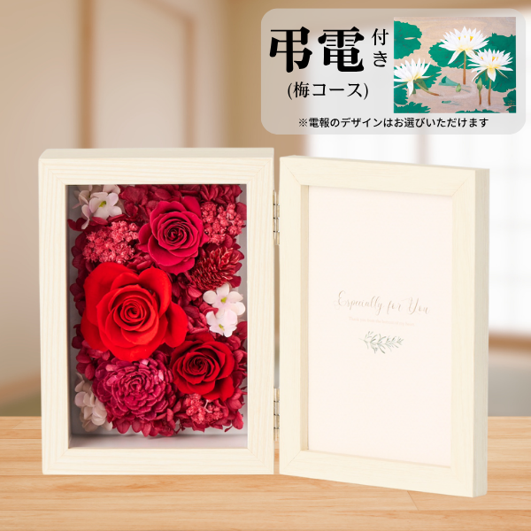 Ĥ(ߥ)ȥץꥶ֥ɥե ֤ȼ̿Ω(쥯󥰥롦)ڲ٤ޤ