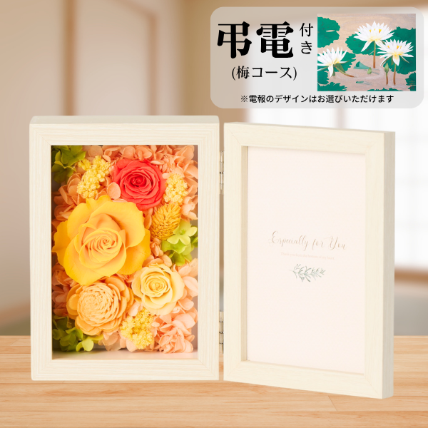 Ĥ(ߥ)ȥץꥶ֥ɥե ֤ȼ̿Ω(쥯󥰥롦)ڲ٤ޤ