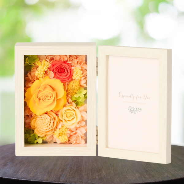 Ĥ(ߥ)ȥץꥶ֥ɥե ֤ȼ̿Ω(쥯󥰥롦)ڲ٤ޤ 2