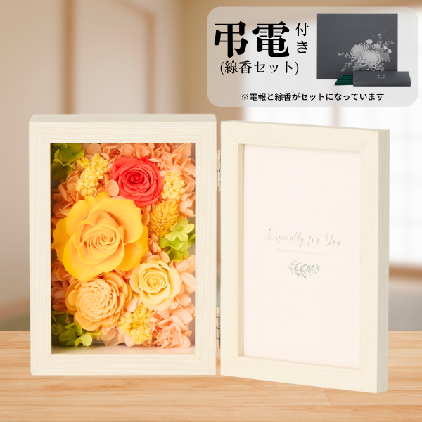 Ĥ(᥻å)ȥץꥶ֥ɥե ֤ȼ̿Ω(쥯󥰥롦)