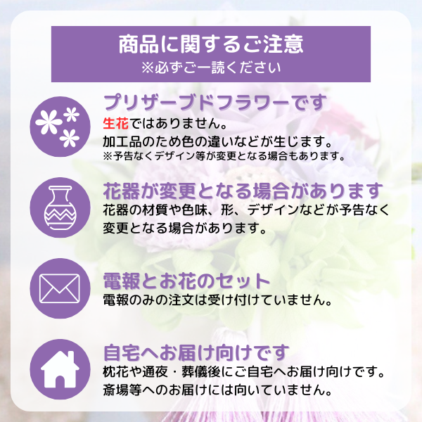 Ĥ(᥻å)ȥץꥶ֥ɥե ѥƥΥ(ԥ󥯷) 11