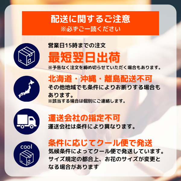 ֥Х108ܡåååץݡͤιڲ« 9