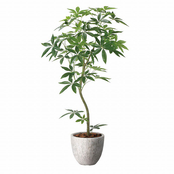 【造花(光触媒)】観葉植物 ナチュラルパキラ 160cm(ストーンプランター)