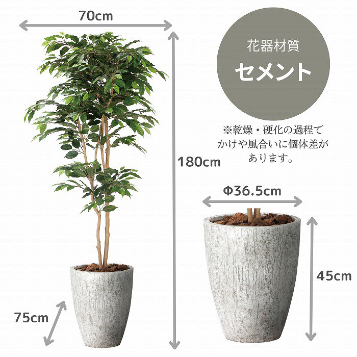 造花(光触媒)】観葉植物 ナチュラルベンジャミン 180cm(ストーンプランター)‐サムライフラワー