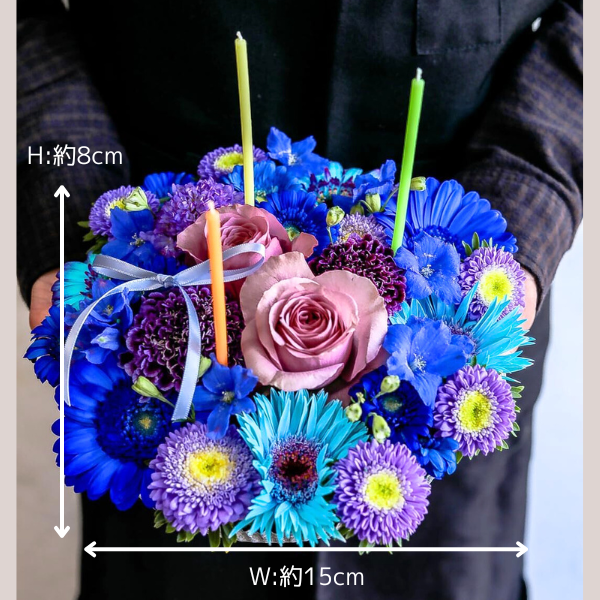 (ݥ)ȥե ե(L/֥롼ѡץ)ɥ롦BOXդڲ٤ޤ 2