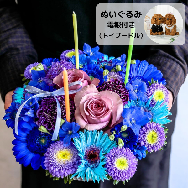 ̤(ȥסɥ)ȥե ե(L/֥롼ѡץ)ɥ롦BOXդ