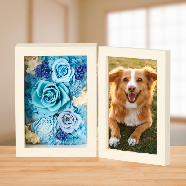 ڥڥåѤ֡ۥץꥶ֥ɥե ֤ȼ̿Ω(쥯󥰥롦)