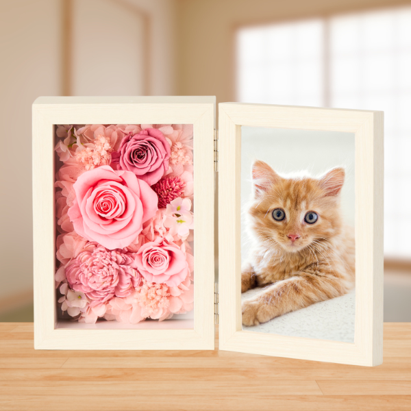 ڥڥåѤ֡ۥץꥶ֥ɥե ֤ȼ̿Ω(쥯󥰥롦ԥ)