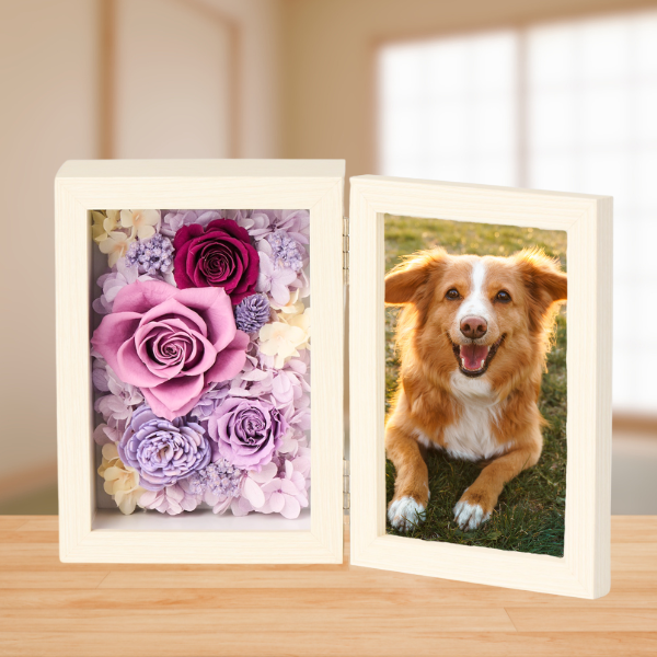 ڥڥåѤ֡ۥץꥶ֥ɥե ֤ȼ̿Ω(쥯󥰥롦)