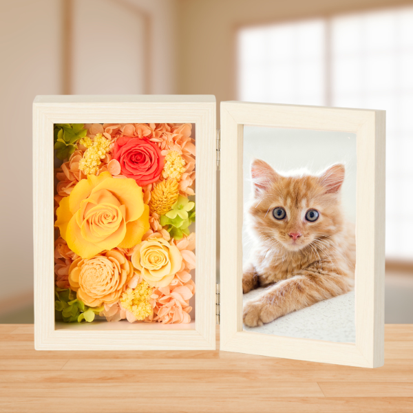 ڥڥåѤ֡ۥץꥶ֥ɥե ֤ȼ̿Ω(쥯󥰥롦)