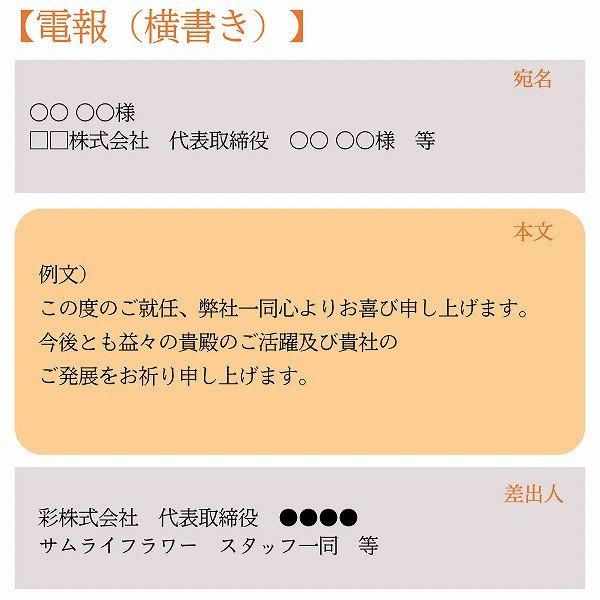 šͧ»桦ؿˤȥե ե(M/֥롼ѡץ)ɥ롦BOXդڲ٤ޤ 14