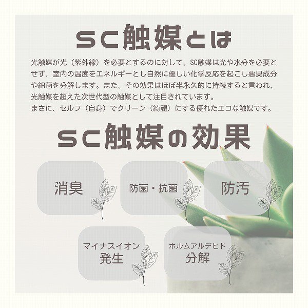 ¤(SC)۸ĳ 5Ω(ۥ磻ȥӥ塼ƥ) 4