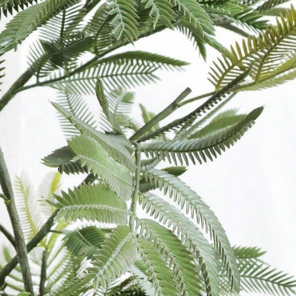 minelal　エバーフレッシュ minelal様専用 エバーフレッシュ